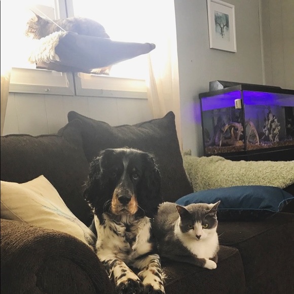 Meet the posher - Picture 3 of 8